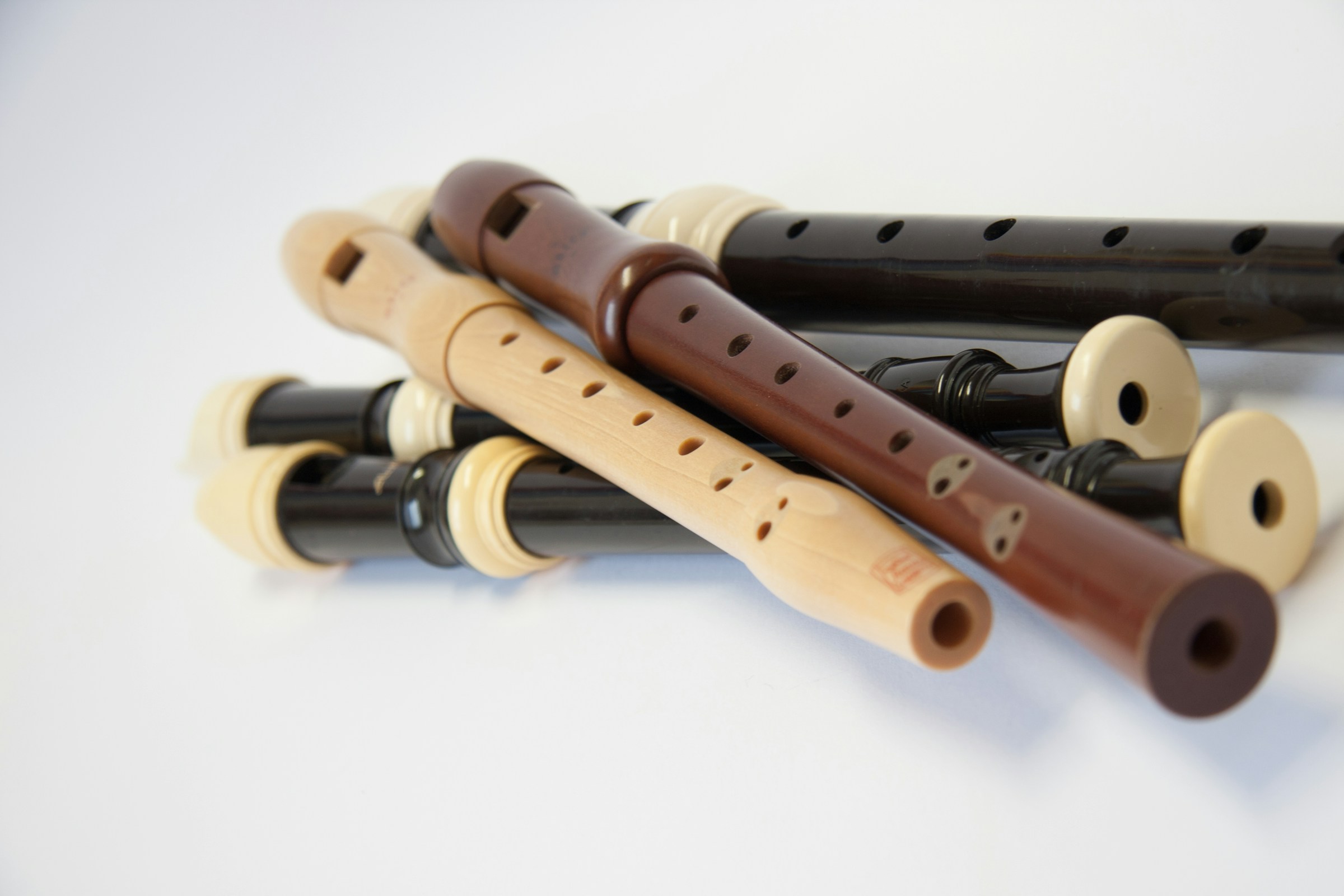 Recorder orchestra workshop Recorder orchestra workshop